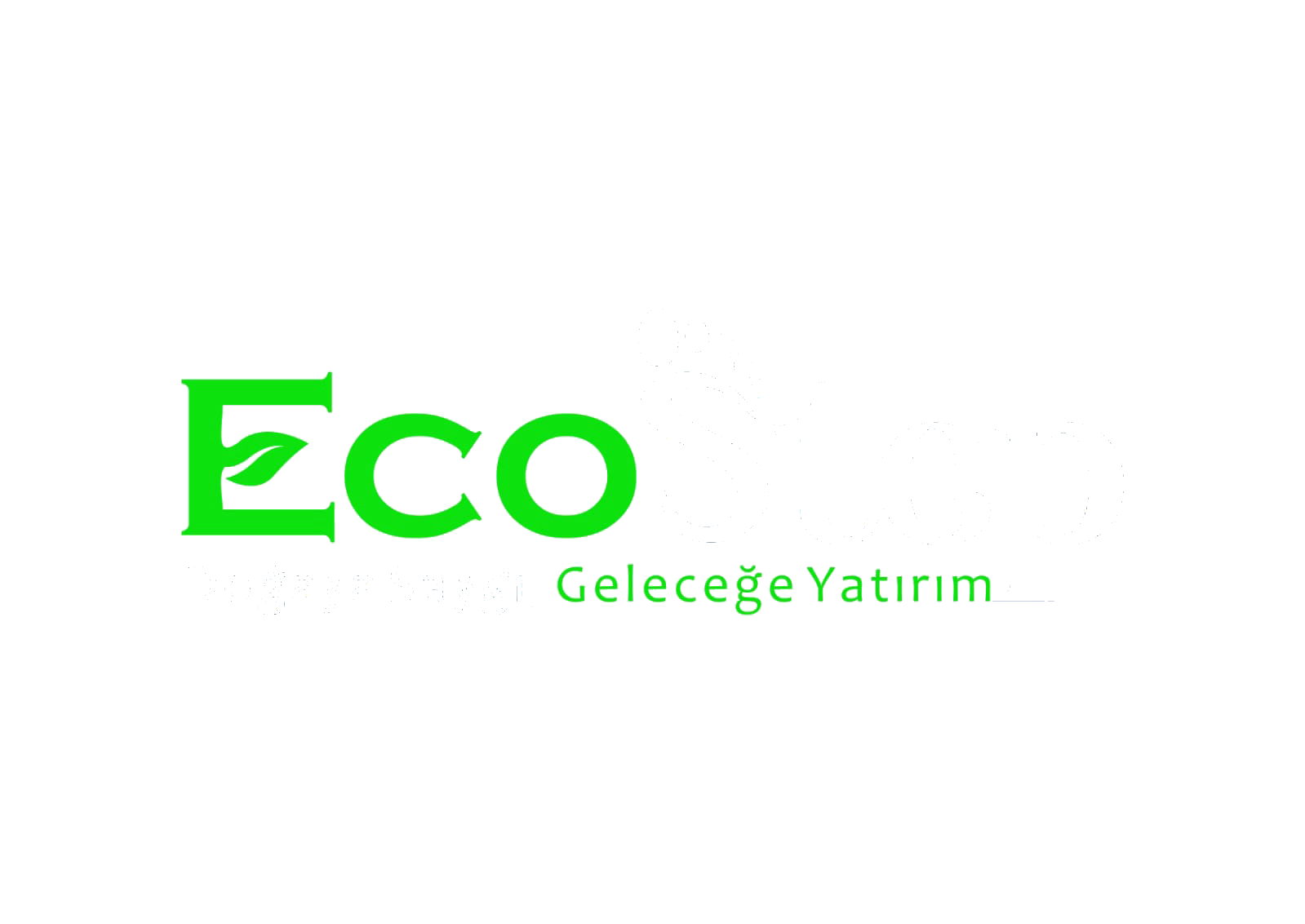 EcoStep Logo